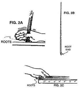 PORKY ROACH KIT INSTRUCTIONS
